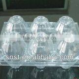 Plastic Clear Egg Box