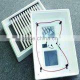 China Reptile Egg Incubator Nandao Eggs Incubator 48 Eggs Mini Incubator Top Quality Chicken Hatchery