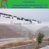 Fruits/vegetables large size farming greenhouse film for Singapore