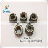 Non - Standard Hex Socket Head Nuts Guangdong China Manufacturing thumbnail-4