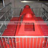 Pig Farming Equipments/sows Obstetric Table thumbnail-4