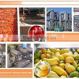 Full-Automatic U.H.T. (Ultra Heat Treated) System Sterilizer Machine thumbnail-4