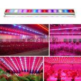 Strawberry Grow Light 15W 30W 45W 60W Led Strip Manufacturer thumbnail-6