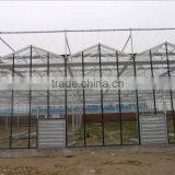 Design Multi-Span Agricultural Greenhouse for Middle East thumbnail-1