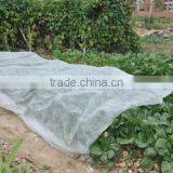 Vegetable Cover/ Protection From Cold thumbnail-1