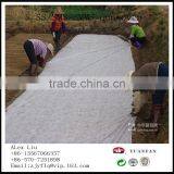 Prevent Ultraviolet Agricultural Covering Cloth , Nonwoven Fabric Plant Cover