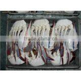 Seafood and Iqf Fresh Snow Crab thumbnail-1