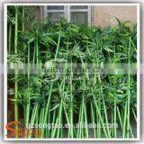High Quality Plastic Bamboo Decorative Artificial Bamboo on Sale thumbnail-5