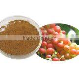 Acanthopanax Senticosus Extract/siberian Ginseng Extract Powder thumbnail-2