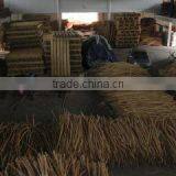 Perniagaan Titi Cane company overview - view 3 thumbnail