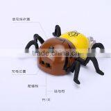 Wholesale Toy rc Climb Wall Animal Spider King Climb Wall Spider thumbnail-5
