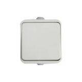 Surface Mounted One Way Switch thumbnail-1