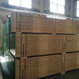 OSHA Standard 38*225mm Pine LVL Scaffolding Plank Hot Sale in Dubai From Fushi Wood Group thumbnail-5