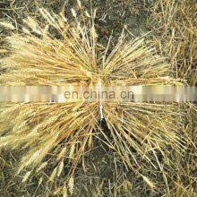 Professional Manufacture Kubota Rice Harvester Machine Rice Harvesting Machine thumbnail-3