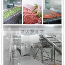 Cauliflower/broccoli Vegetable Quick Freezing Iqf Tunnel Freezer Equipment/iqf Machine thumbnail-2