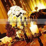 Fairy Led String Lights (cooper Wire) (Warm White) (33 ft 100 Leds) thumbnail-3