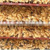 Packed Ginger thumbnail-2