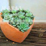 Heart Shpaed Beautiful Garden Planter thumbnail-2