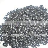 2011 Crop Black Kidney Beans thumbnail-1
