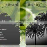 Clear 4C/4C Printing Transparent PVC Card thumbnail-3