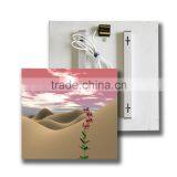 2016 TUV GS/SAA/Rohs/CE Infra Red Panels Frameless Panel Ray Wall Heater /720w/960/1200w