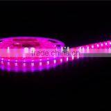 Underwater Led Light Strip Battery Powered Flexible Led Strip Light thumbnail-1