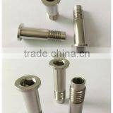 Custom Metal Screws/Steel Screw