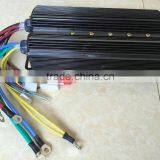 1000w With 24 Tubes Controller for India Market Electric Tricycle Rickshaw, Tuktuk,three Wheeler for 5 Passengers thumbnail-2