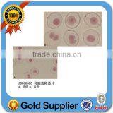 Human Histological Oral Slides Pathological Prepared Slides thumbnail-4