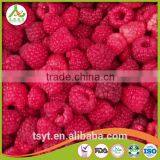 Golden Supplier of Top Quality Frozen Raspberry From China Processor