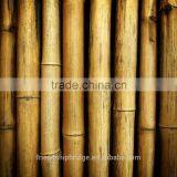 Bamboo Poles