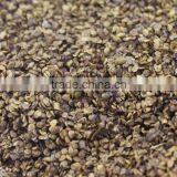 Organic Black Goji Berry Seeds thumbnail-2