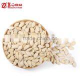 Roasted Shine Skin Pumpkin Seeds thumbnail-5