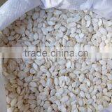 Snow White Pumpkin Seeds 9-14CM, 11-13MM thumbnail-5