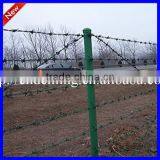 Hot Dale High Quality Security Galvanized Pvc Coated Barbed Wire