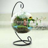 Clear Glass Vase Globe Glass Landscape Bottle Beautiful thumbnail-2