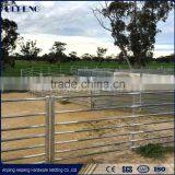 Sheep Farming/farm Equipment Hotsale thumbnail-4