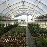Greenhouse With Outside Shading System thumbnail-2