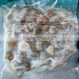 High Qualiy Frozen Whole Clam Without Sand thumbnail-2