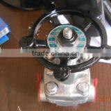 Screw Stainless Steel Gate Valve thumbnail-4