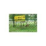 Diamond Fence Wire Mesh thumbnail-1