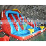 Hot Kids Inflatable Water Slide Blue Giant Cheap Inflatable Slide Outdoor Double Slide With Pool for Sale thumbnail-2