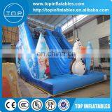 Snow and Ice World Slide,PVC Inflatable Slide thumbnail-2