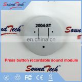Press and hold recordable sound module with plastic housing