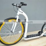 2013 new style electric sidekickbike