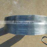 CBT-65 Razor Barbed Wire Hot-dipped Galvanized Barbed Wire thumbnail-2