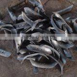 Square Shaft of Disc Harrow, Axle , Plough Point thumbnail-5