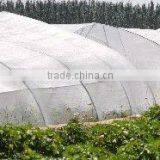 Agriculture Anti-insects Net(factory) ,plastic Anti-insect Netting