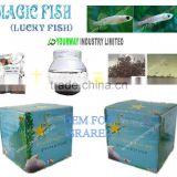 Magic soil.Lucky fish.Magic fish-OEM