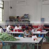 Xiamen SYS Ribbons & Bows Co., Ltd. company overview - view 2 thumbnail